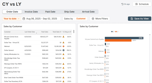 Dashboard showing sales data by customer with filters and visual charts.